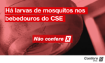 confere-ufsc:-nao-ha-larvas-de-mosquitos-nos-bebedouros-do-cse