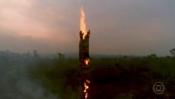 queimadas-destruiram-um-quinto-do-territorio-nacional-em-quase-quatro-decadas