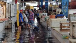 videos:-mercado-da-producao-fica-alagado-por-causa-da-chuva-em-maceio