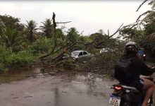 chuva-no-grande-recife:-queda-de-arvore-bloqueia-estrada-e-ruas-ficam-alagadas