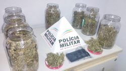 potes-de-vidro-com-1kg-de-maconha-sao-apreendidos-dentro-de-carro-em-divinopolis