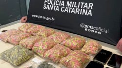 policia-militar-apreende-mais-de-13-mil-comprimidos-de-ecstasy-na-capital