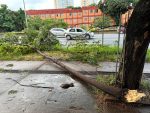 belo-horizonte-amanhece-com-arvores-caidas-apos-chuva-forte-e-sob-alerta-de-risco-geologico