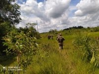 prisoes,-mortes-e-visita-de-governadores:-operacao-completa-20-dias-de-procura-por-bando-que-atacou-cidade-em-mt-e-fugiu-para-o-to