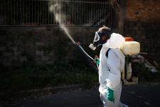 dengue:-apos-confirmar-1a-morte,-campinas-diz-que-contingencia-uso-de-inseticida-contra-mosquito-por-atraso-no-recebimento