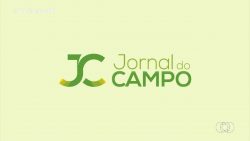 videos:-jornal-do-campo-–-to-de-domingo,-6-de-outubro-de-2024