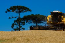 chegada-do-la-nina-acende-um-alerta-para-o-campo