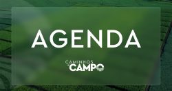 agenda-do-campo-da-semana-tem-evento-sobre-os-beneficios-e-os-desafios-do-biogas