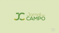 videos:-jornal-do-campo-de-domingo,-6-de-outubro-de-2024