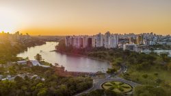 apuracao-confirma-segundo-turno-entre-tiago-amaral-e-professora-maria-tereza-em-londrina