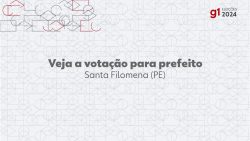 eleicoes-2024:-gildevan,-do-psd,-e-eleito-prefeito-de-santa-filomena-no-1o-turno