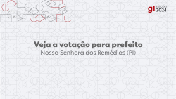 eleicoes-2024:-ze-fernando,-do-psd,-e-eleito-prefeito-de-nossa-senhora-dos-remedios-no-1o-turno