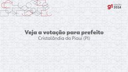 eleicoes-2024:-moises-filho,-do-mdb,-e-eleito-prefeito-de-cristalandia-do-piaui-no-1o-turno