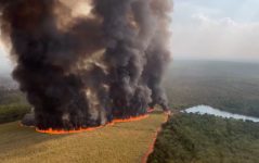 incendio-ja-destruiu-73%-da-estacao-ecologica-jatai,-maior-reserva-de-cerrado-de-sp